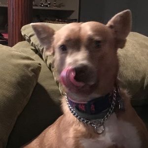 Meet your Posher, Tamara